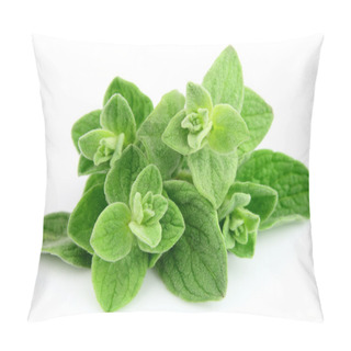 Personality  Fresh Oregano Leafs Pillow Covers