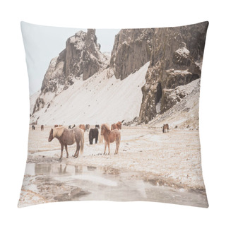 Personality  Pasture Pillow Covers
