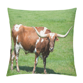 Personality  A Longhorn Bull Pillow Covers