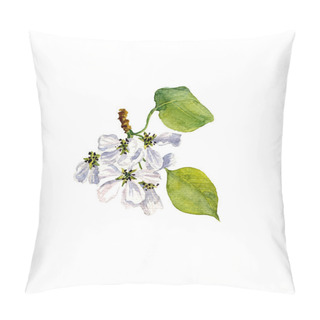 Personality  Watercolor Apple Tree Flowers Pillow Covers