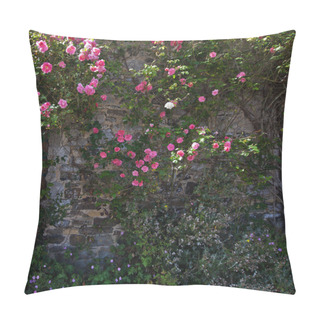Personality  Picturesque From Roses Overgrown Cottage In Brittany, France Pillow Covers