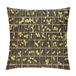Personality  Tray Of Seedlings Pillow Covers