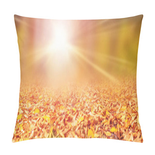 Personality  Autumn Background With Fallen Dry Leaves On The Ground, With Blurred Background And Bright Sun With Long Rays Pillow Covers