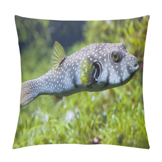 Personality  White-spotted Puffer Pillow Covers