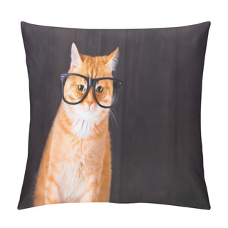 Personality  Domestic Tabby Cat With Eyeglasses. Pillow Covers