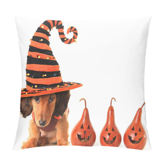Personality  Halloween Puppy Pillow Covers