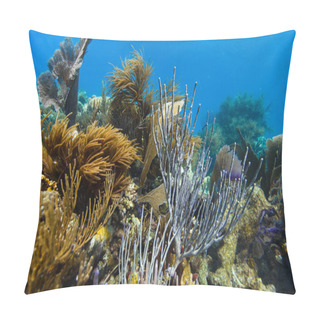 Personality  Tropical Coral Reef Pillow Covers