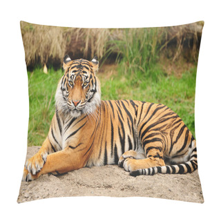 Personality  Tiger Portrait Horizontal Pillow Covers