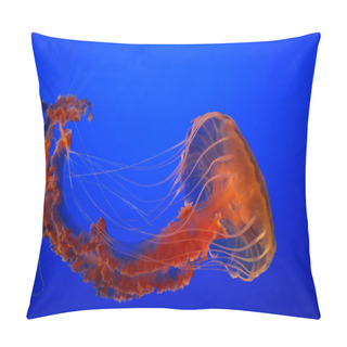 Personality  Sea Nettle Jellyfish Pillow Covers
