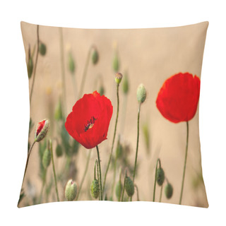 Personality  Two Red Poppy Flower Pillow Covers