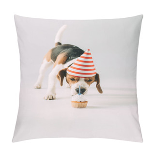Personality  Cute Beagle Dog In Party Cap Smelling Cupcake On Grey Background Pillow Covers