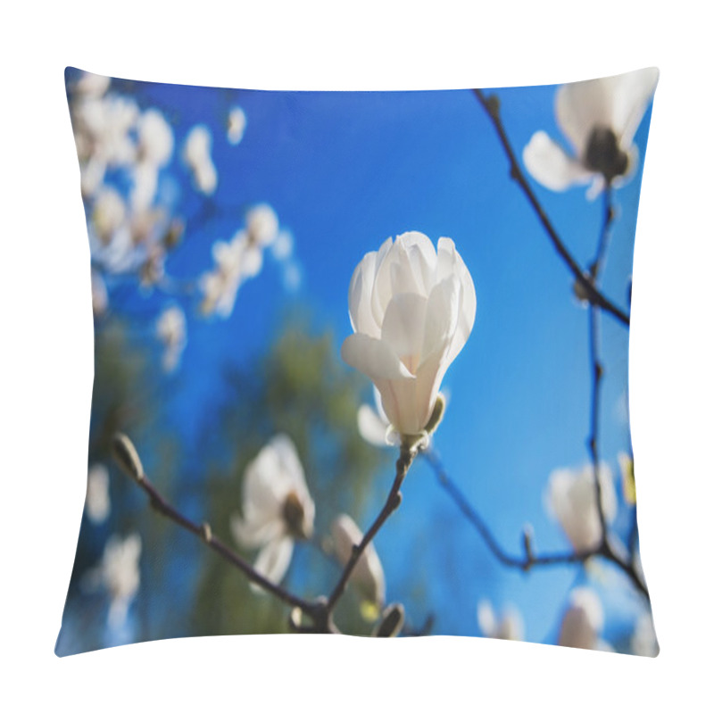 Personality  white blooming magnolias  pillow covers