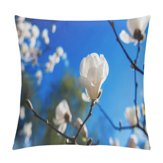 Personality  White Blooming Magnolias  Pillow Covers