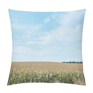 Personality  Autumnal Field With Corn And Blue Cloudy Sky Pillow Covers