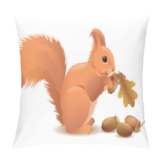 Personality  Squirrel With Acorns Pillow Covers