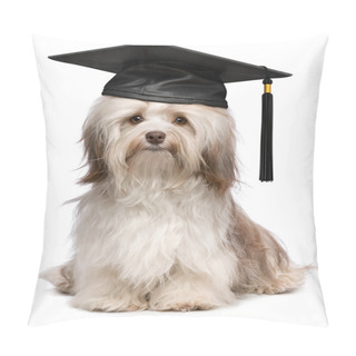 Personality  Cute Eminent Graduation Havanese Dog Wit Black Cap Pillow Covers