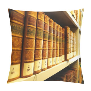 Personality  Old Books In Library Pillow Covers