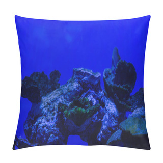 Personality  Exotic Corals Under Water In Aquarium With Blue Neon Lighting Pillow Covers