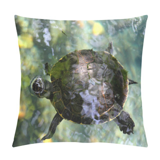 Personality  Turtle In Water, Cenote In Central America Pillow Covers