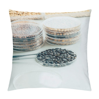 Personality  Close Up View Of Tweezers, Various Grains And Sunflower Seeds In Modern Agro Laboratory  Pillow Covers