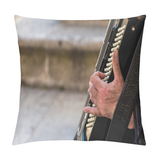 Personality  Street Musician Playing An Accordion Pillow Covers