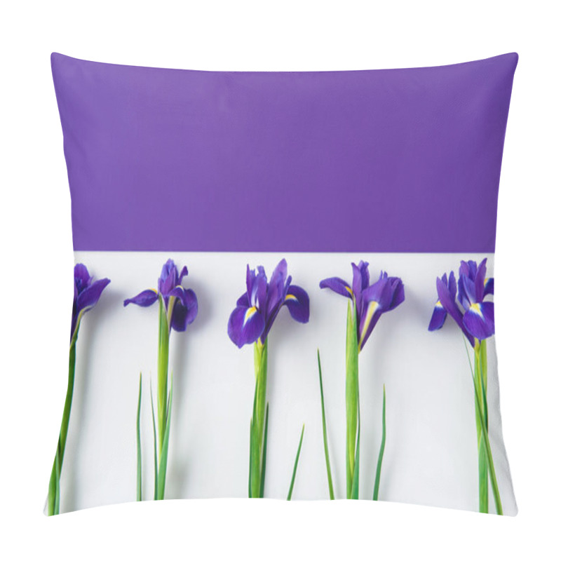 Personality  top view of iris flowers on halved iris and white surface pillow covers