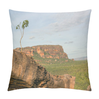Personality  Beautiful Lonley Tree At The Nadab Lookout In Ubirr, Kakadu National Park - Australia Pillow Covers