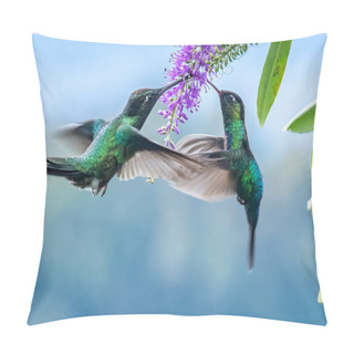 Personality  Blue Hummingbird Violet Sabrewing Flying Next To Beautiful Red Flower. Tinny Bird Fly In Jungle. Wildlife In Tropic Costa Rica. Two Bird Sucking Nectar From Bloom In The Forest. Bird Behaviour Pillow Covers