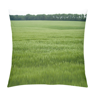 Personality  Green Wheat Field Pillow Covers