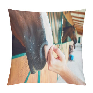 Personality  Friendship Between Man And Horse Pillow Covers