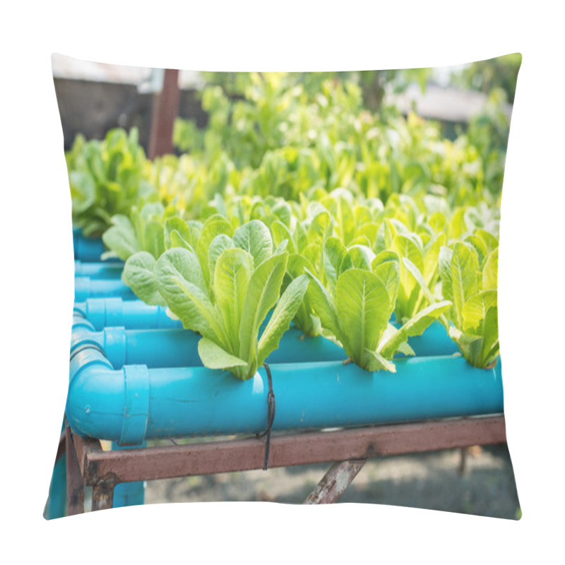 Personality  Organic Vegetable Farm. Pillow Covers
