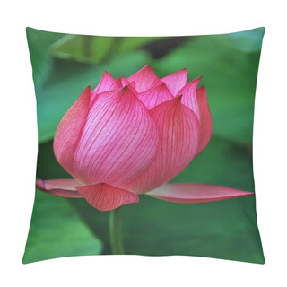 Personality  Lotus Flower Bud Pillow Covers