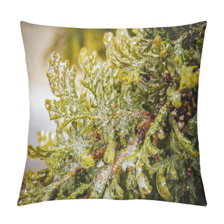 Personality  Icy Tree Branches. Tree Branches With Ice. Green Needles With Ic Pillow Covers