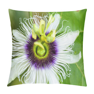 Personality  Exotic Beautiful Flower Pillow Covers