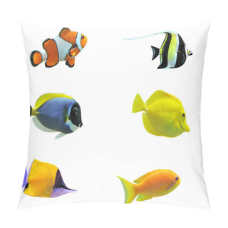 Personality  Tropical Fish Pillow Covers