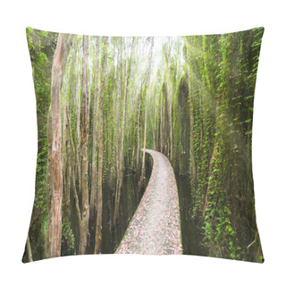 Personality  Small Road Bending Through The Melaleuca Forests In The Ecotourism. Pillow Covers