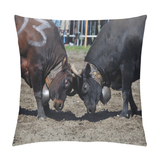 Personality  Two Fighting Cows Pillow Covers