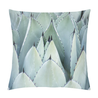 Personality  Agave Parryri Closeup At The Arizona Cactus Garden In Stanford California Pillow Covers