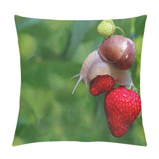 Personality  Snail Creeping On Red Ripe Strawberries In Garden With Copy Space On Natural Green Bukeh Pillow Covers