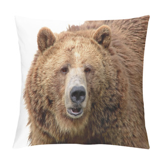 Personality  Grizzly Close-up Isolated On White Pillow Covers