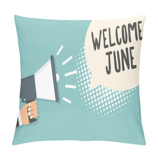 Personality  Handwriting Text Welcome June. Concept Meaning Calendar Sixth Month Second Quarter Thirty Days Greetings Man Holding Megaphone Loudspeaker Speech Bubble Blue Background Halftone. Pillow Covers