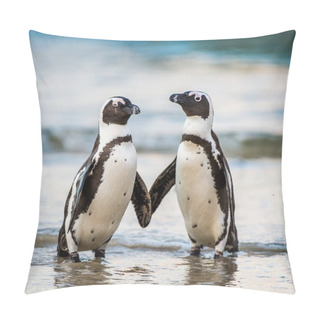 Personality  African Penguins Walking Out Of Ocean  Pillow Covers
