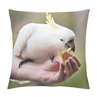 Personality  Feeding Birds Pillow Covers