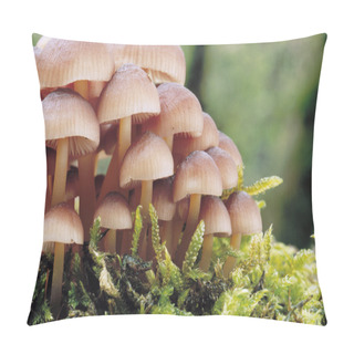 Personality  Clump Of Mushrooms In Grass Pillow Covers