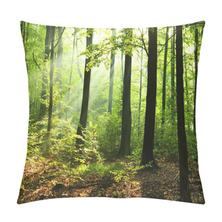 Personality  Beautiful Sunny Morning In Deciduous Forest Pillow Covers