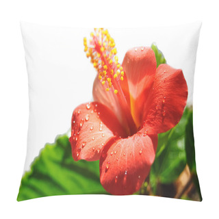 Personality  Red Hibiscus Blooming Pillow Covers