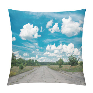 Personality  The Runway For Small Planes In The Forest Pillow Covers