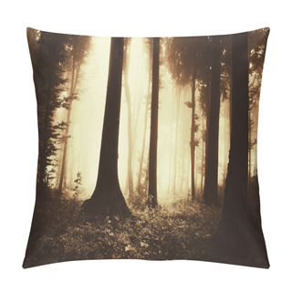 Personality  Tree Silhouettes In Fantasy Forest In Autumn Sunset Light Pillow Covers