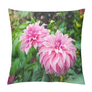Personality  Beautiful Pink Dahlia Flower In Garden. Chinese Flower.  Pillow Covers