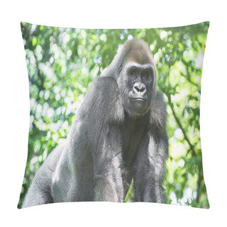 Personality  Typical Western Lowland Gorilla Among Leafy Trees.  Pillow Covers